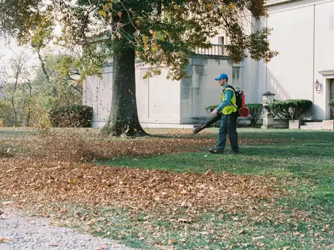 Clearing autumn leaves from a lawn with a leaf blower